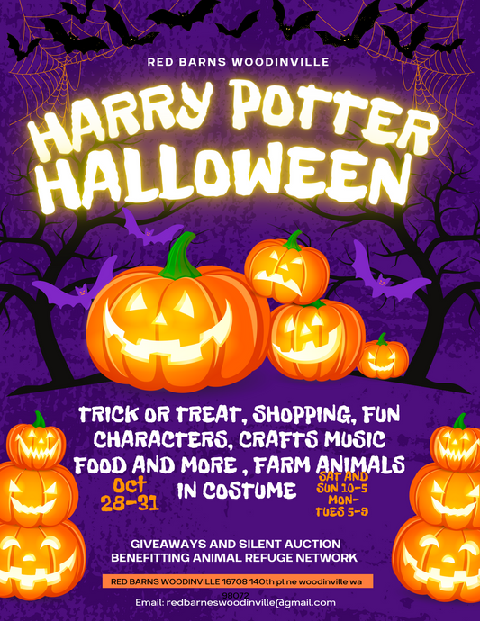 Vendor Booking: Harry Potter Halloween Oct 28-31st 2023